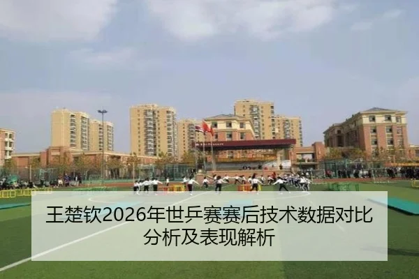 王楚钦2026年世乒赛赛后技术数据对比分析及表现解析