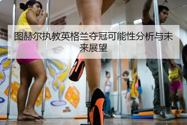 tu-he-er-zhi-jiao-ying-ge-lan-duo-guan-ke-neng-xing-fen-xi-yu-wei-lai-zhan-wang-2-332.jpg